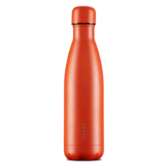 Butelka termiczna Ragsy Basic 500ml