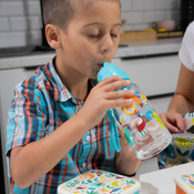 Rex London Bidon ze słomką 500ml Dzikie Zwierzęta