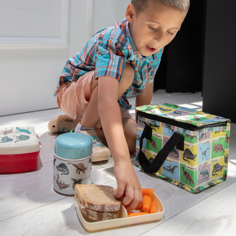 Rex London Lunchbox z wyjmowaną tacką Dinozaury