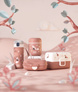 Monbento Lunchbox dziecięcy Gram Graphic Fox