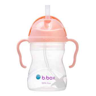 B.Box Bidon ze słomką 240ml Gelato Tutti Frutti