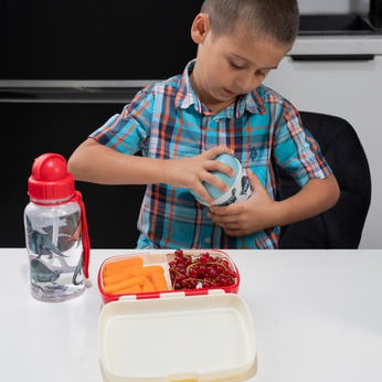 Rex London Lunchbox z wyjmowaną tacką Dinozaury