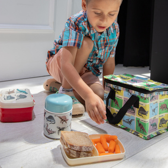 Rex London Termos na jedzenie Dinozaury 280 ml