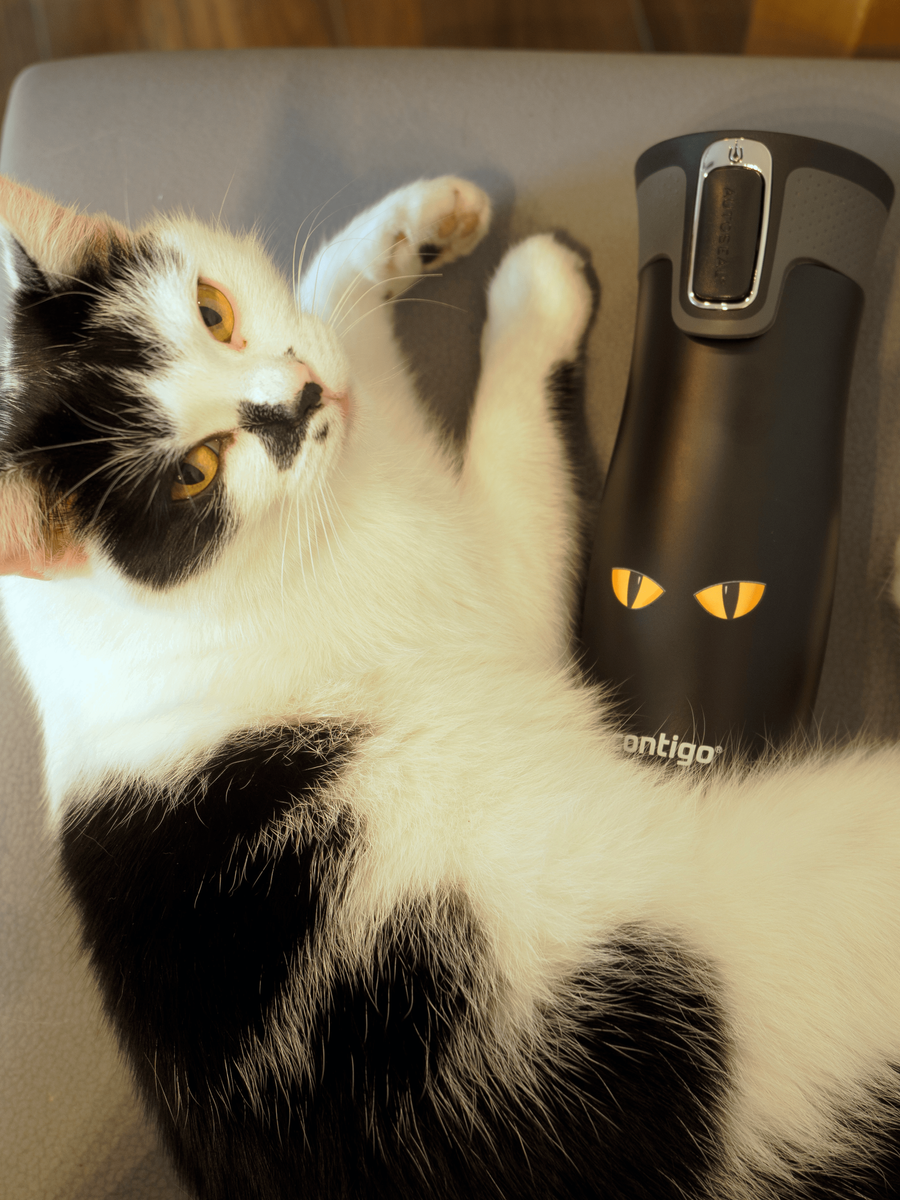 Contigo West Loop 2.0 - Kubek termiczny - 470ml - Cat Eyes"