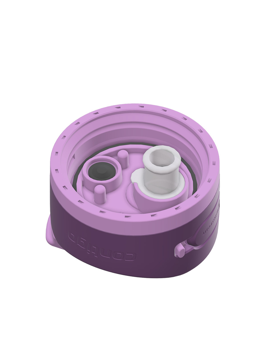 Contigo Ashland 2.0 Chill - Butelka termiczna na wodę - 720 ml - Violet