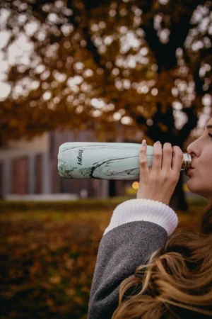 Butelka termiczna Ragsy Wood 500ml - Azure Wood.