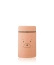 Mr bear tuscany rose