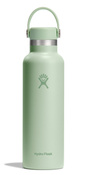 Hydro Flask Butelka 621ml Standard Flex Cap Aloe